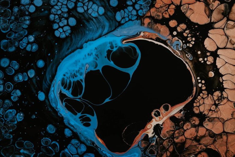 Photo Liver ultrasound