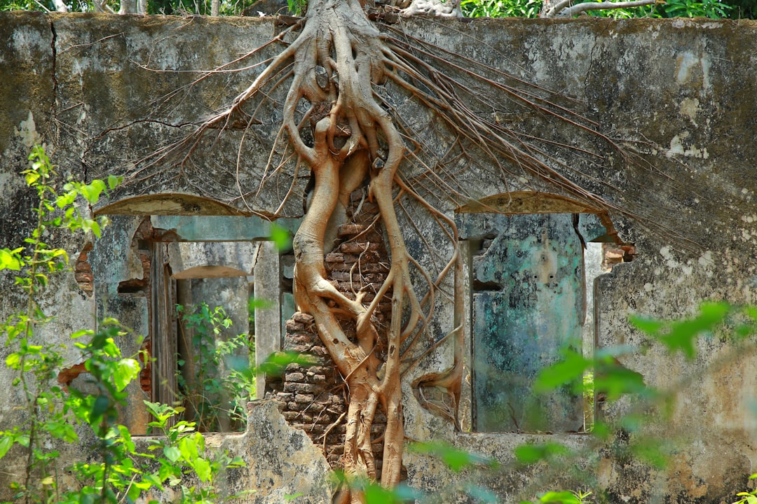 Photo naturist treatment