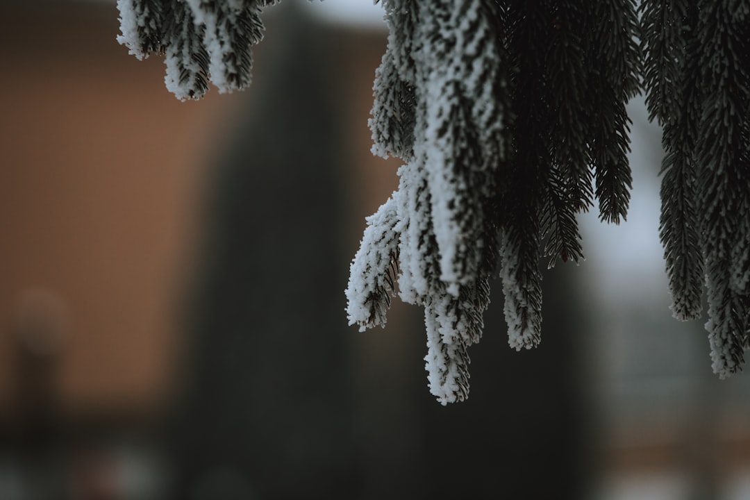 Photo cold plunge