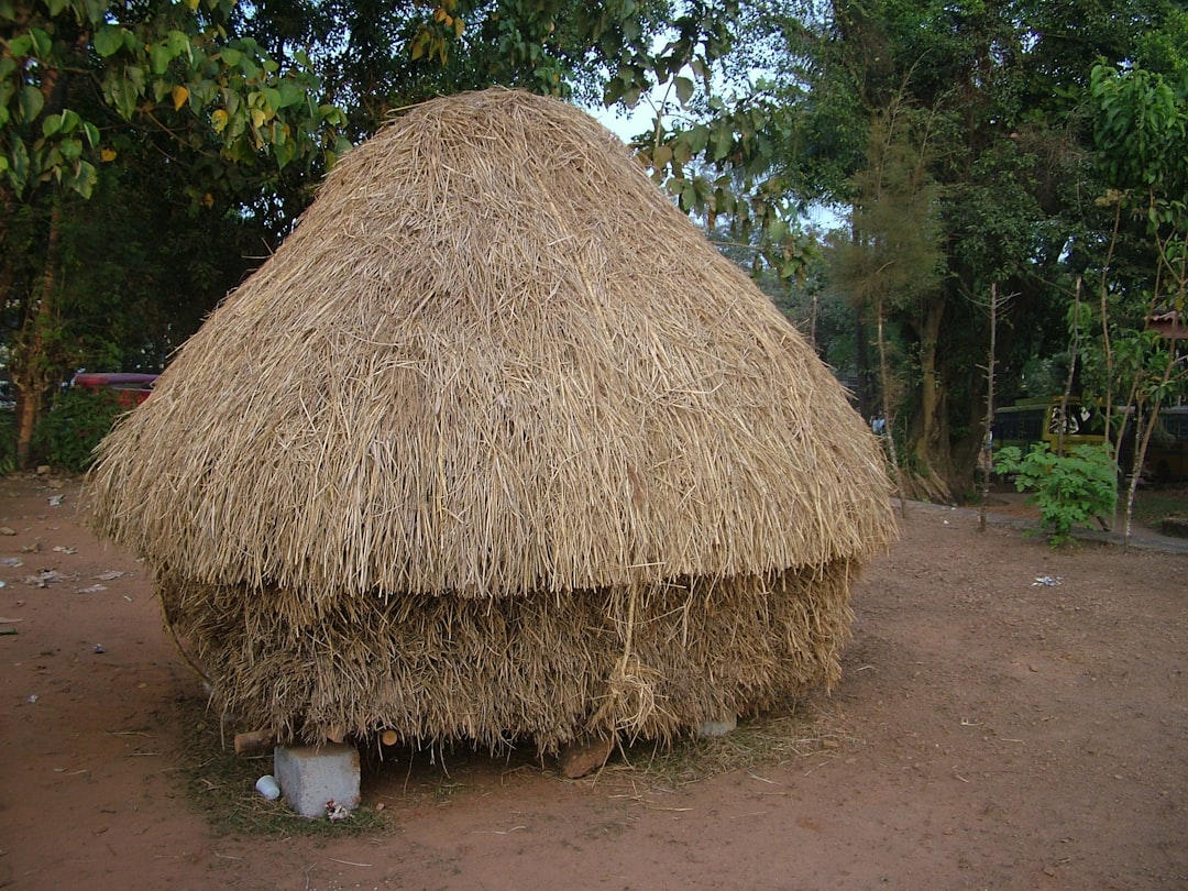Photo masaj