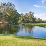 Photo exerciții de forță