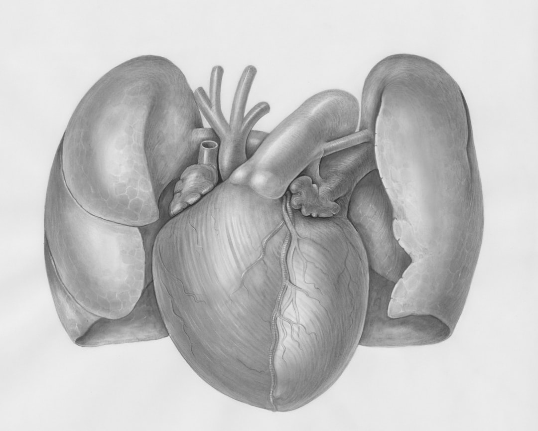Photo exerciții cardio