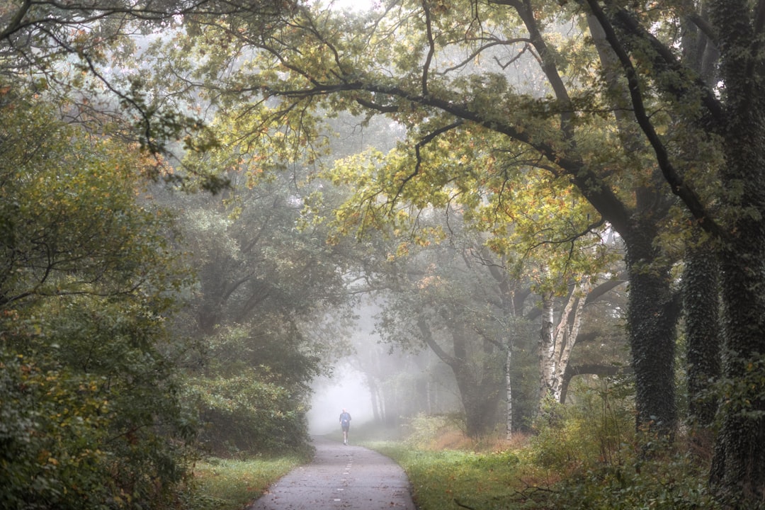 Photo running in the morning