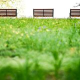 Photo relaxation space