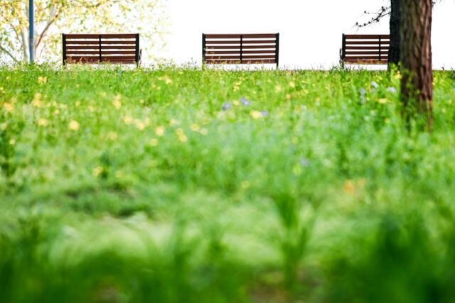 Photo relaxation space