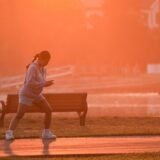 Drumeț cu rucsac pe o potecă de munte marcată, cu creste și pădure de brad în fundal
